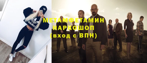индика Новозыбков