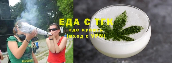 индика Новозыбков