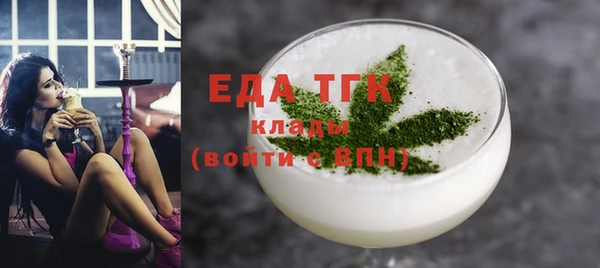 индика Новозыбков