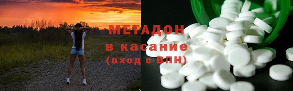 индика Новозыбков