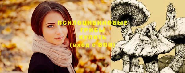 МДМА Новокубанск