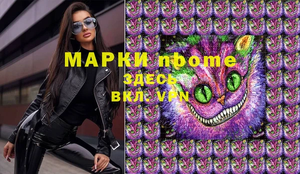 индика Новозыбков