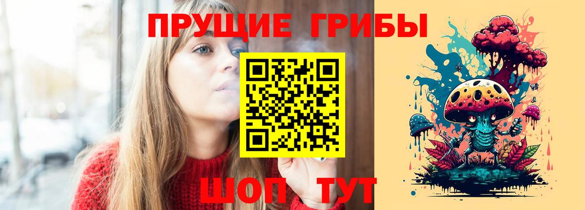 Псилоцибиновые грибы Psilocybine cubensis  Вход с VPN  Курчалой  Псилоцибиновые грибы GOLDEN TEACHER 