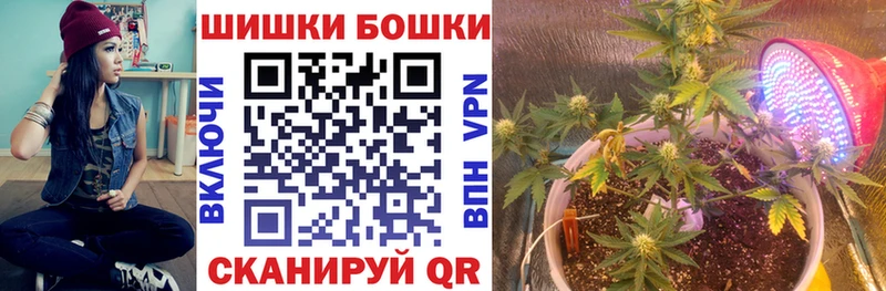 купить наркотик  Курчалой  Бошки марихуана ГИДРОПОН 